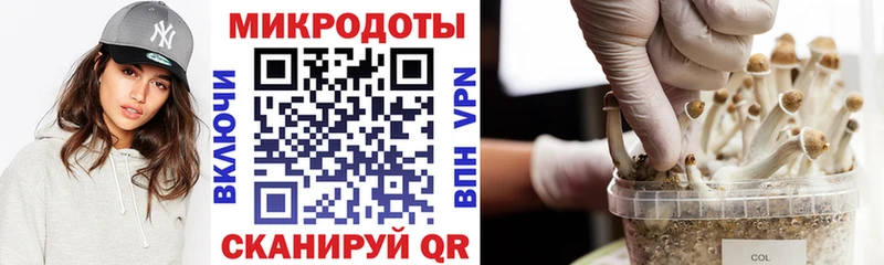 Галлюциногенные грибы Psilocybine cubensis Весьегонск